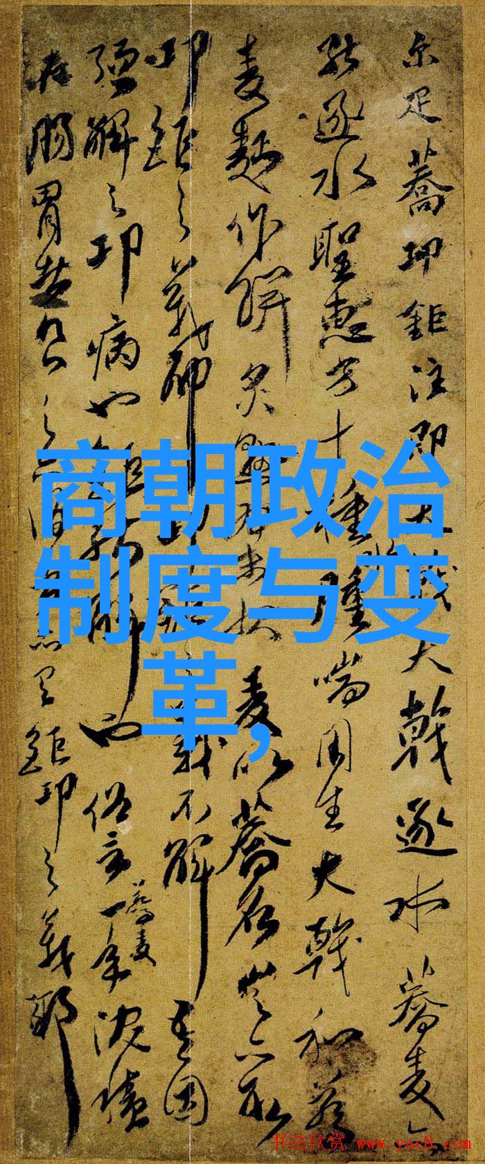 乖我们在水里试一试亲爱的小伙伴们让我们一起探索水世界的奇妙吧