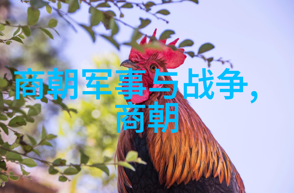 明光灿烂揭秘明朝的盛世辉煌
