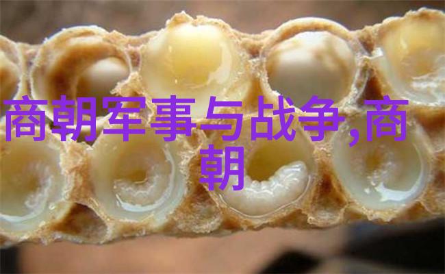 神算刘伯温之死揭秘历史的谜团