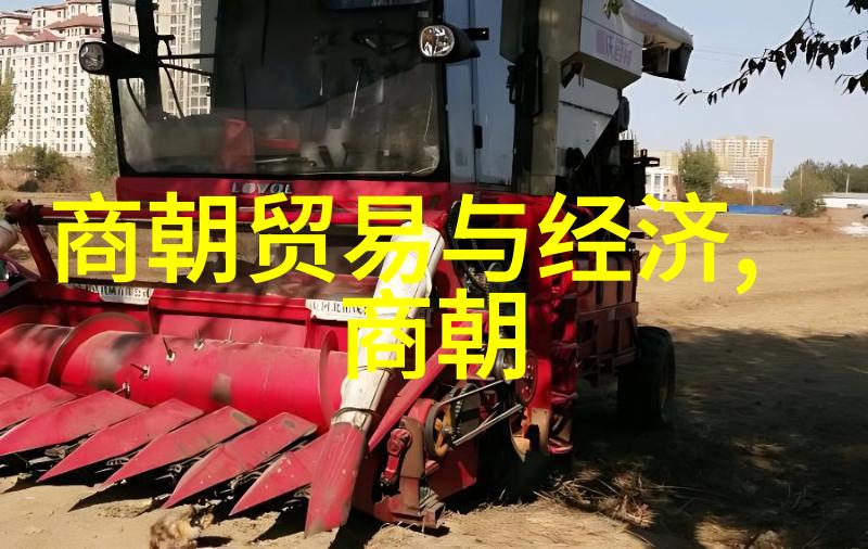 明代历代的族谱一脉相承的荣耀与梦想