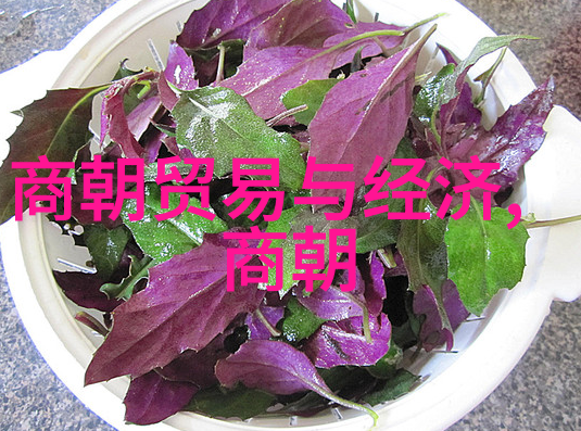 宋国历史辉煌与沦亡的轮回