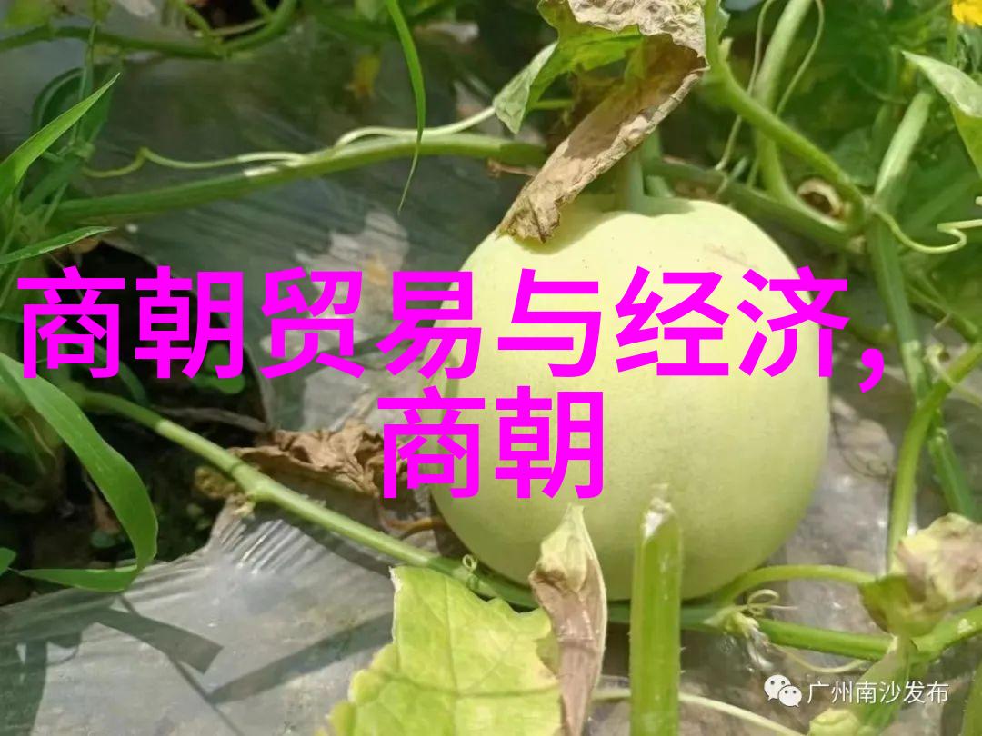 高举义旗保家卫国赵普军事生涯探秘