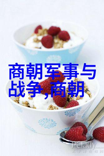 明朝衰退的转折从洪武之治到万历之困