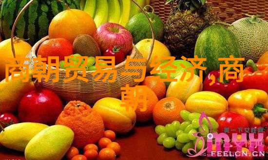 明朝历史解说中国明代王朝的兴衰与文化遗产