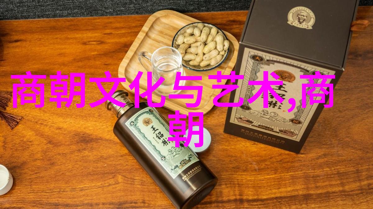 纵横天下明朝的辉煌与影响