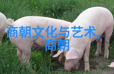 古今长河唐代诗人李白的酒池豪情