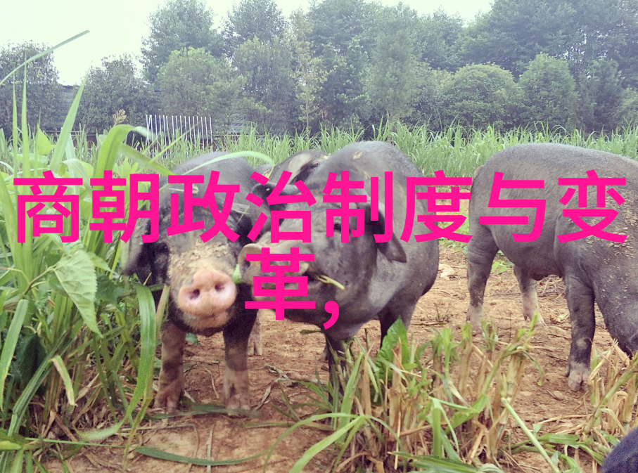 南明朝历代帝王顺序表历史的遗迹与帝国的衰落