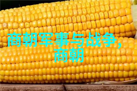 元朝著名历史事件忽必烈汗开辟大明帝国