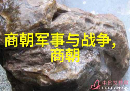 历史上的遗憾那些应该得以延续的王朝故事