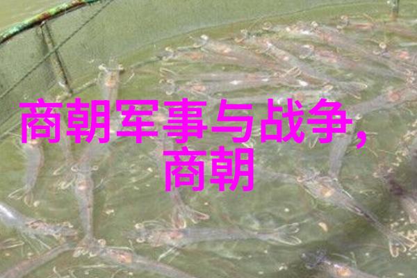 穿越时空的手机揭秘中国历史App的奇妙冒险