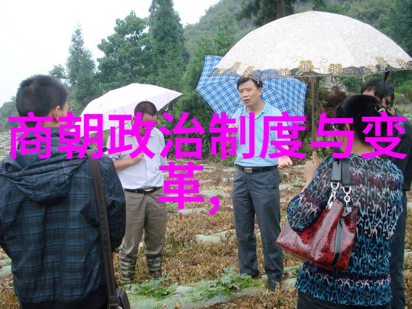 中国朝代历史时间图表穿越千年解锁古今之谜