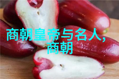 科举之路元朝士人的梦想与挑战