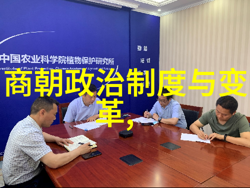 紫府仙缘穿越之谜与永恒的爱