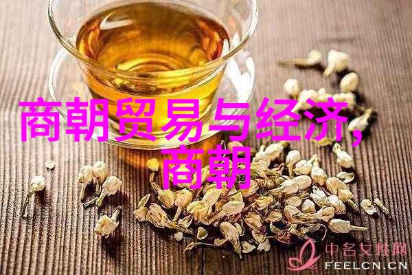 翟鸿探寻古籍国学大师的文献之旅