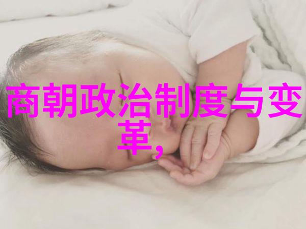 明朝那些事3皇太极南下一统华北