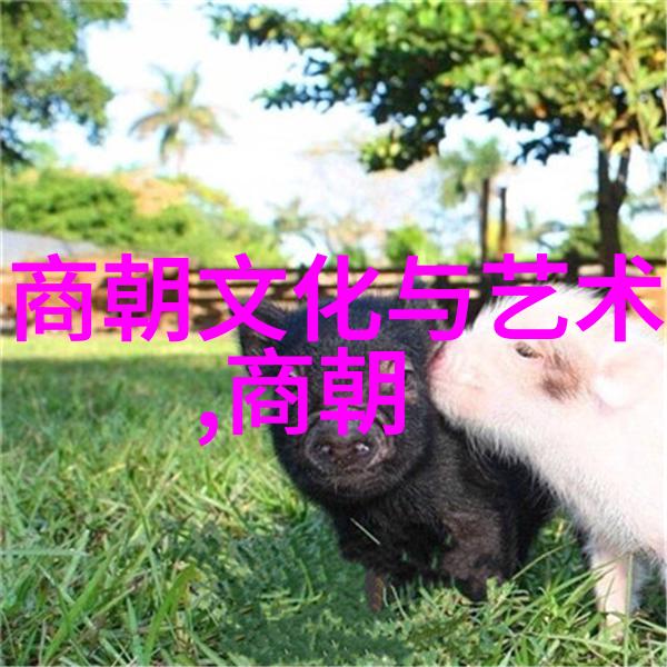 明朝历史朝代排名顺序表中国历史上的重要朝代时间线