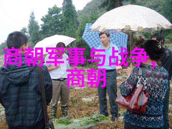 刘伯温的封号之谜只称一声伯而已