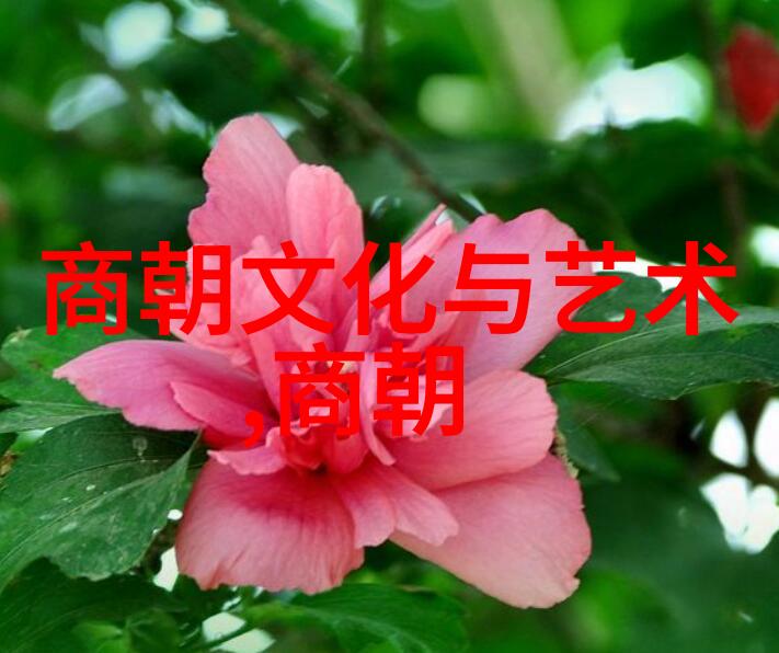 元朝风华录古代奇缘与皇权的纵横
