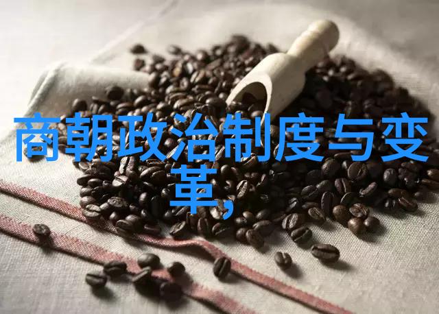 元朝的神秘篇章君临天下的一代王朝又是怎样的