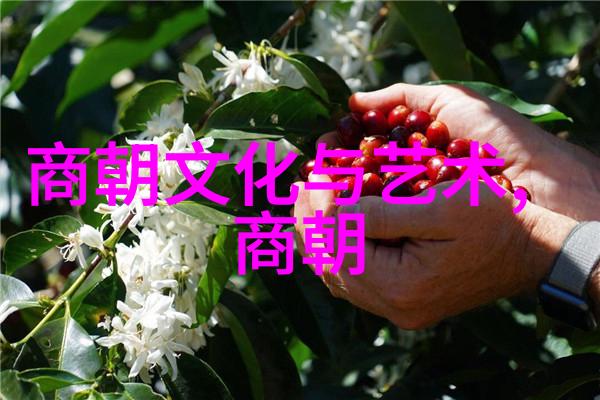 努尔哈赤为何不传位给多尔衮他究竟有着怎样的打算