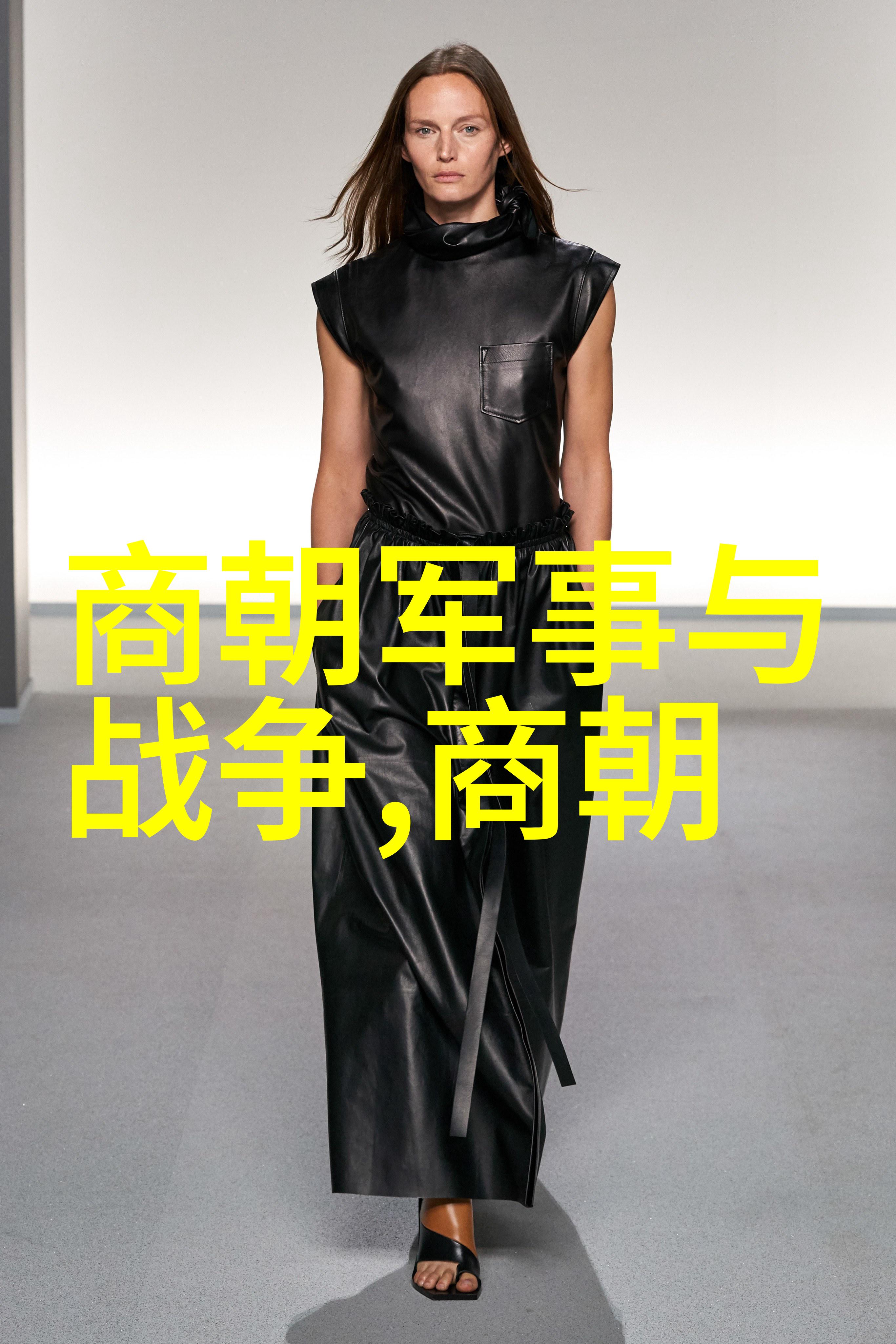 宋朝时期的邻国北方的金国西边的西夏南边的楚雄