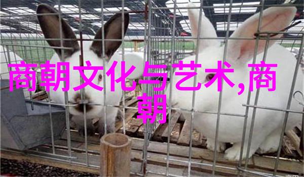 我来告诉你元朝的故事从蒙古铁骑到中国王朝