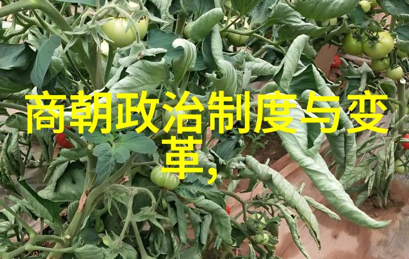 历史趣闻我和明朝16位皇帝的故事他们的名字你知道吗