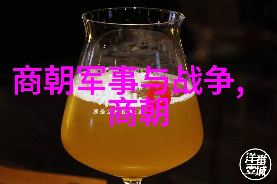 北宋覆灭一场历史的悲剧