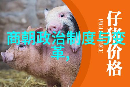 文明参观故宫的10大禁忌