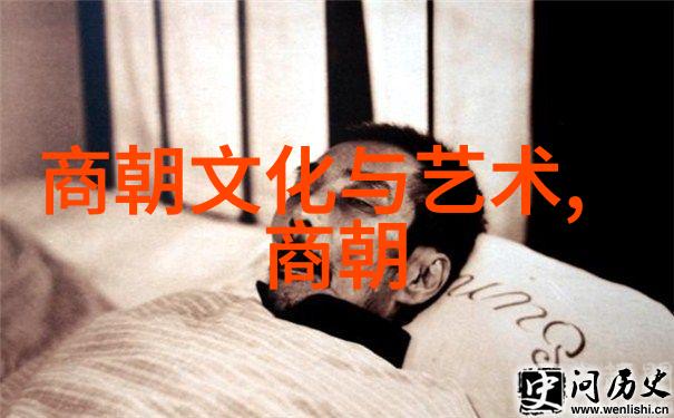 明朝那些事儿明末清初边关变局民族融合与文化交融