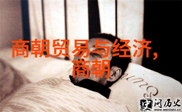石悦背后的历史解读明朝那些事儿的文化象征
