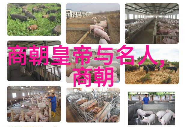 元末之乱军事腐败与边防松懈