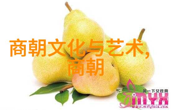 五代十国与宋初战乱与稳定之间的转变及其所带来的时间差异