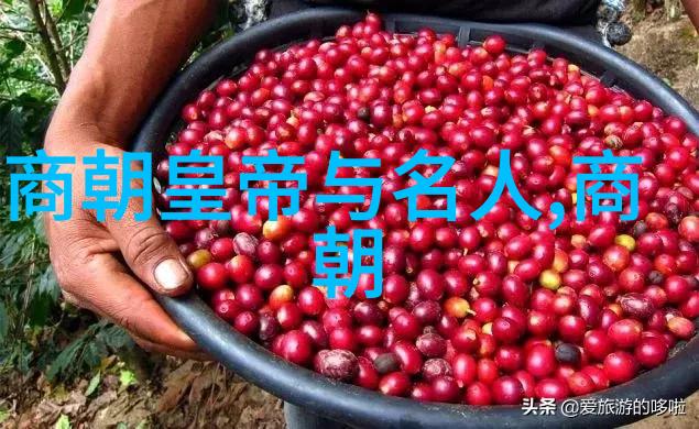 帝国的末日与共和国的初声揭秘中国近代史未解之谜