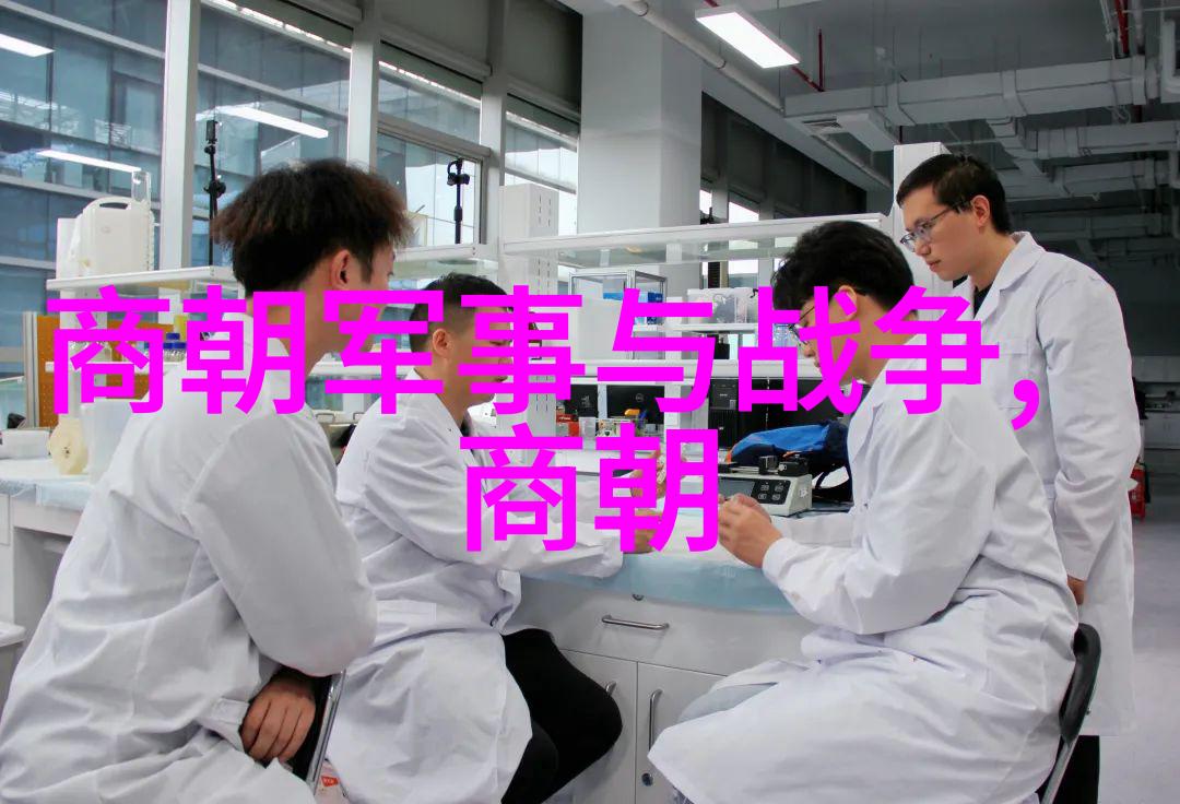 最不应该灭亡的朝代探索历史与命运的交错之处