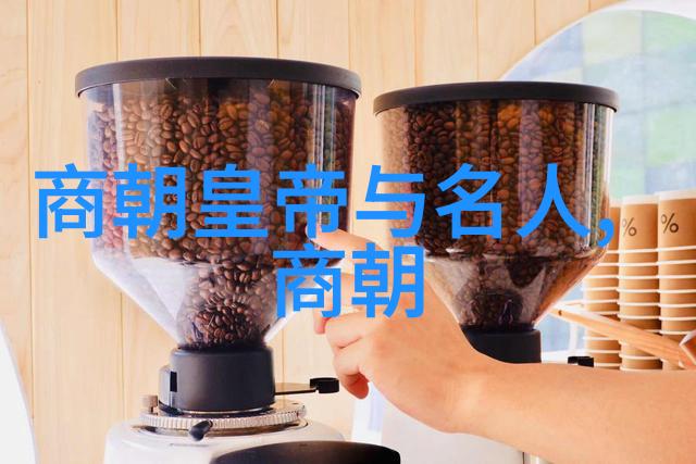 明朝秘影录