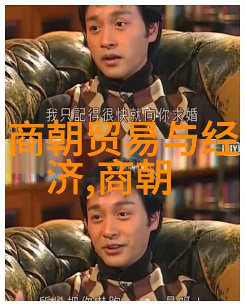 明朝16位帝王的继承人-御衣之系探秘明朝帝王遗产的传承