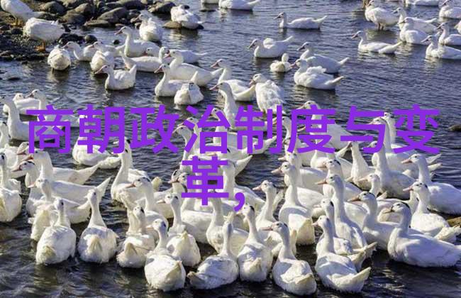 内地最红男歌手与国内实力女歌手同台竞技自然风光中展开音乐盛会