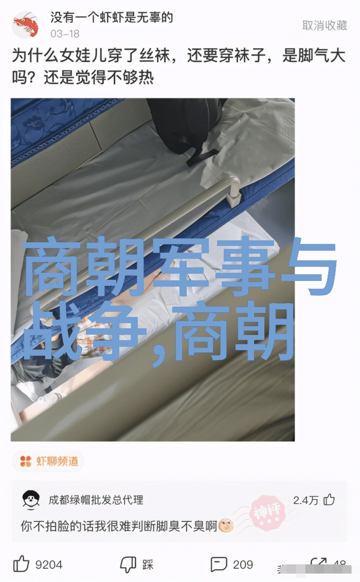 中国古代朝代史秦汉魏晋南北朝唐宋元明清以及周汉赵魏等多个朝代的历史