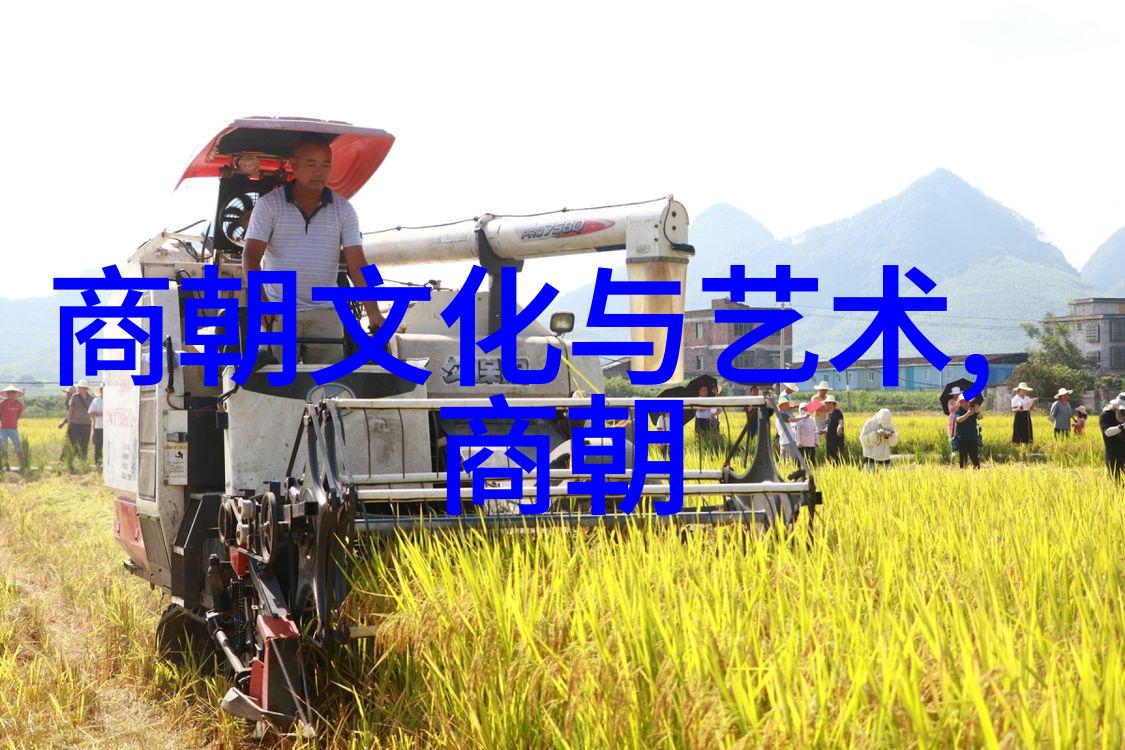 他死亡对明朝后期产生了怎样的影响