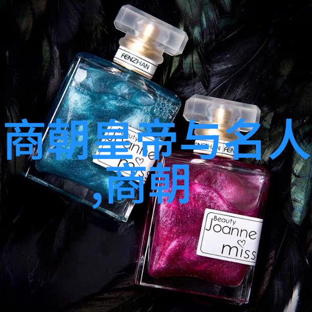 南诏国覆灭的历史秘密唐朝军队的征服之旅