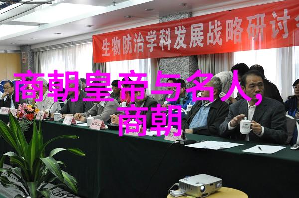 清代帝王的盛世与衰败一脉相承的历史篇章
