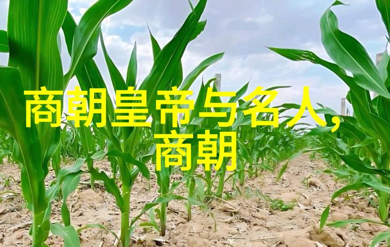 穿越千年历史朝代时间轴图片的秘密