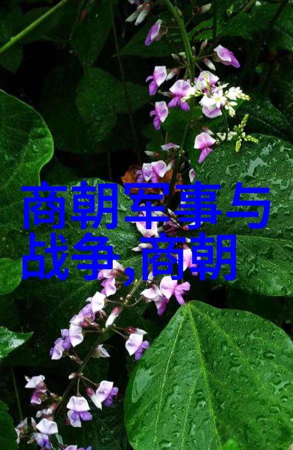 明朝的兴衰变迁自朱元璋到崇祯末年