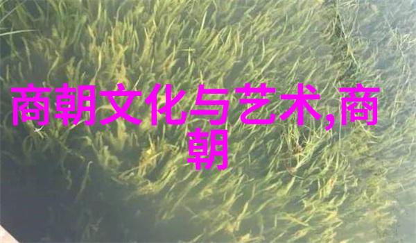 元朝基本史实探究从忽必烈到大都的兴衰