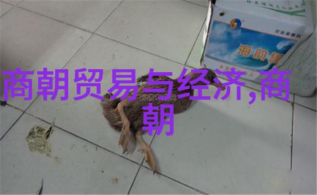 90年代内地歌手名单国内实力女歌手100名中国唱功女歌手又有几人