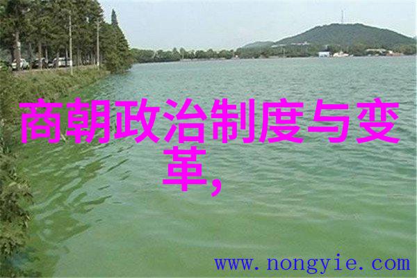 宫廷阴谋揭秘明朝四大奇案中的神机营之谜