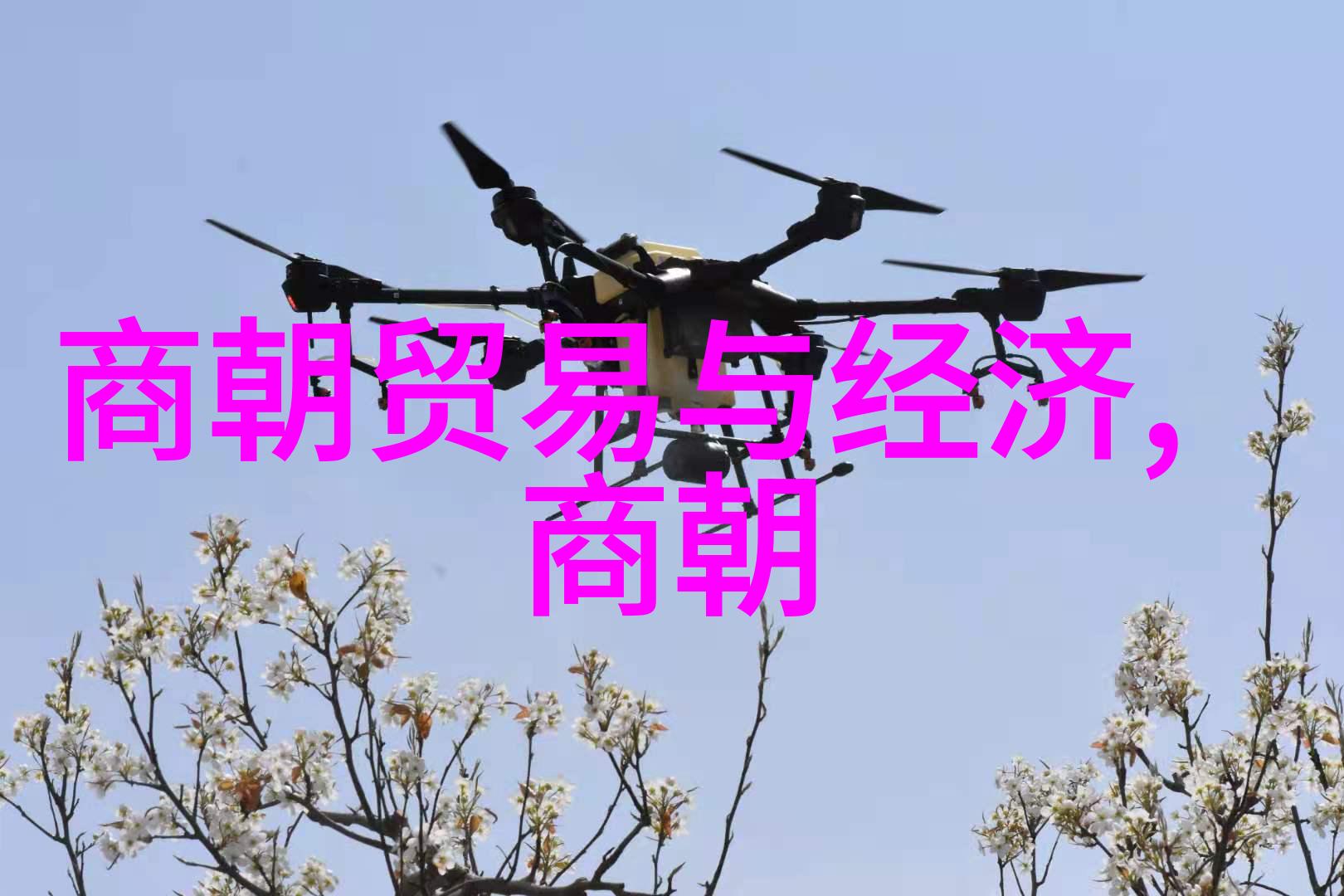 明朝最厉害将领岳飞的英魂与抗金斗争