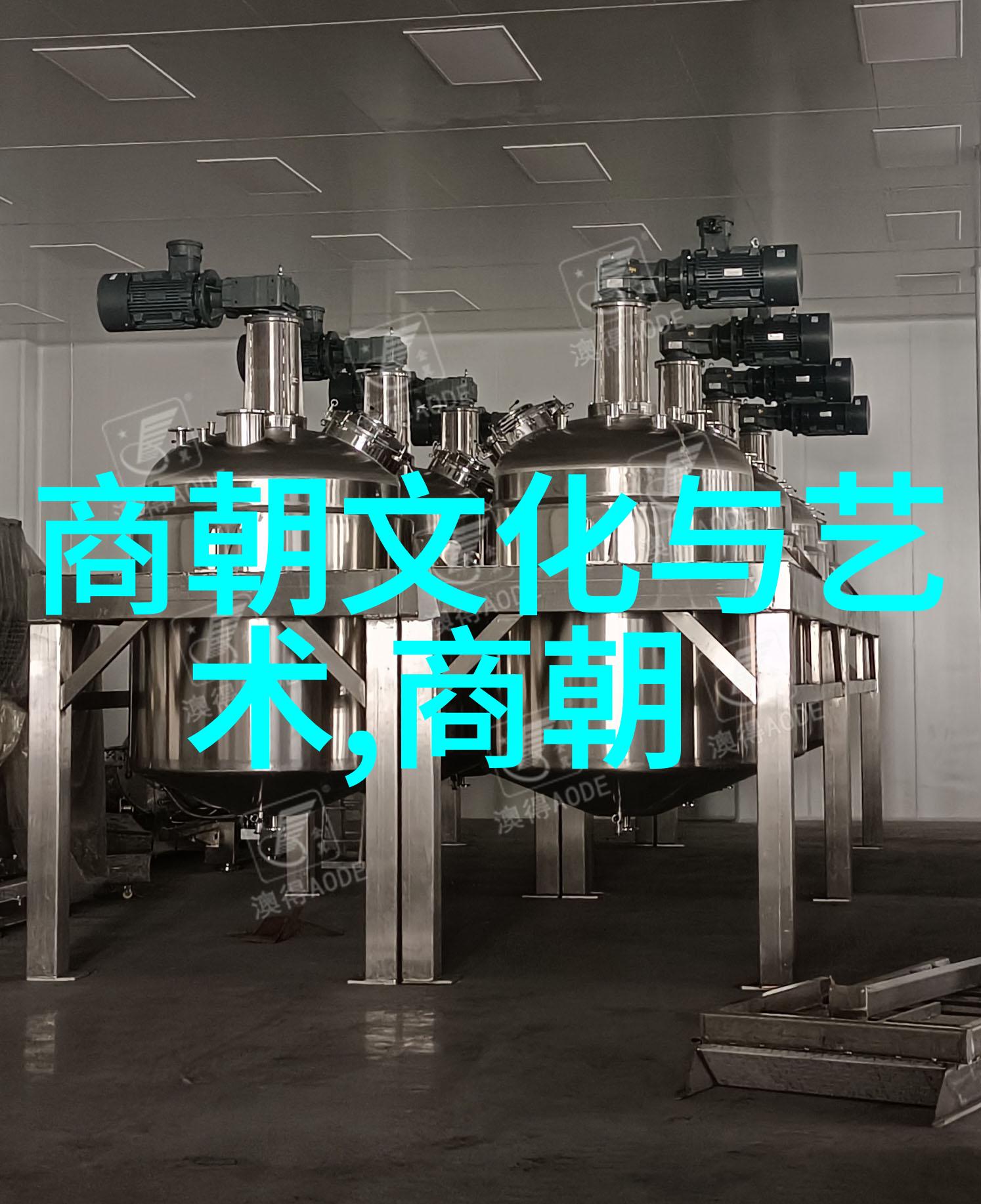 光绪皇帝的囚禁日记十年中兴与宫廷斗智斗勇