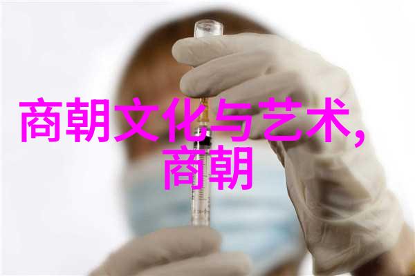晋朝历史晋朝的繁荣与衰败